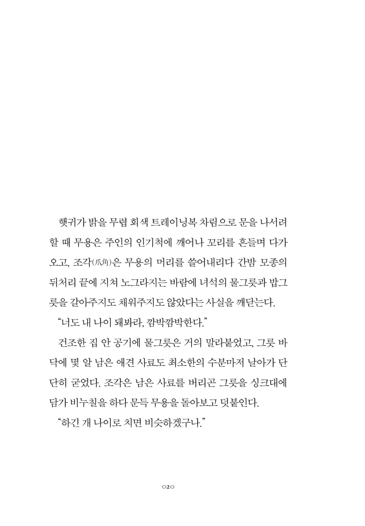 21페이지