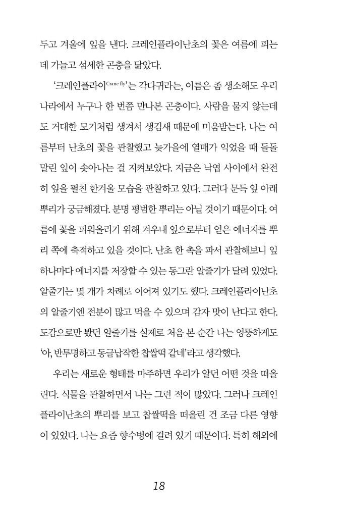 19페이지