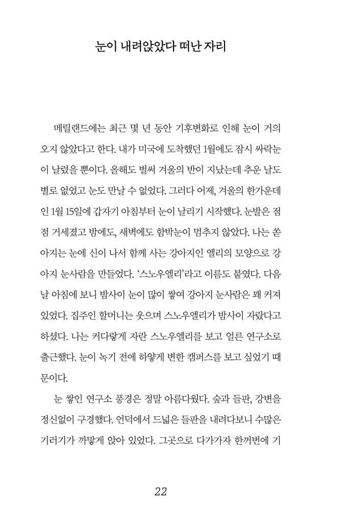 23페이지