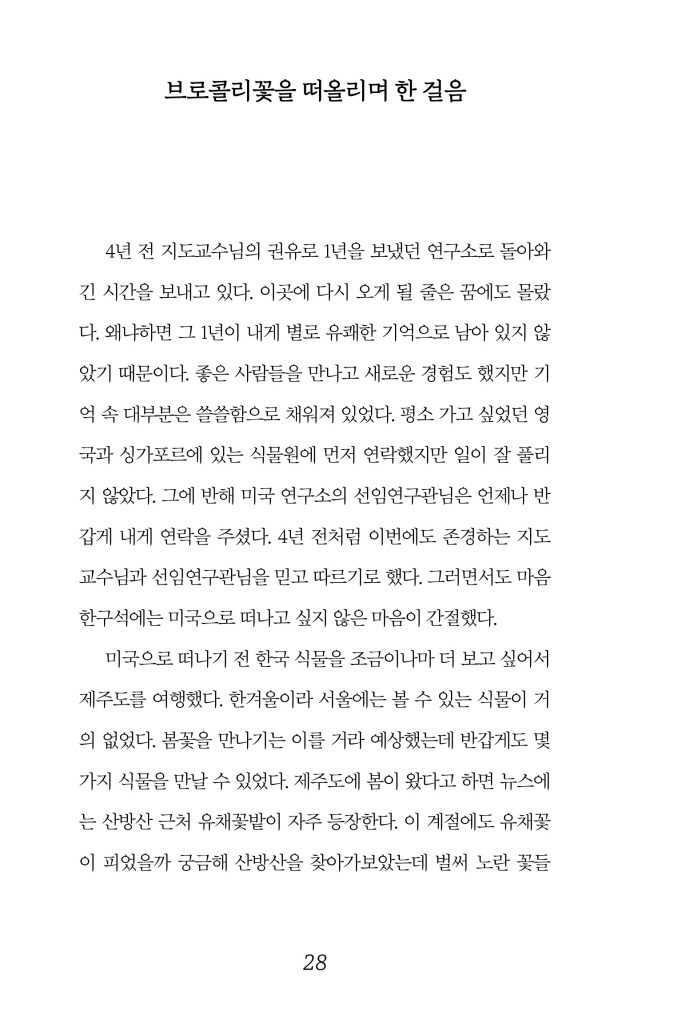 29페이지
