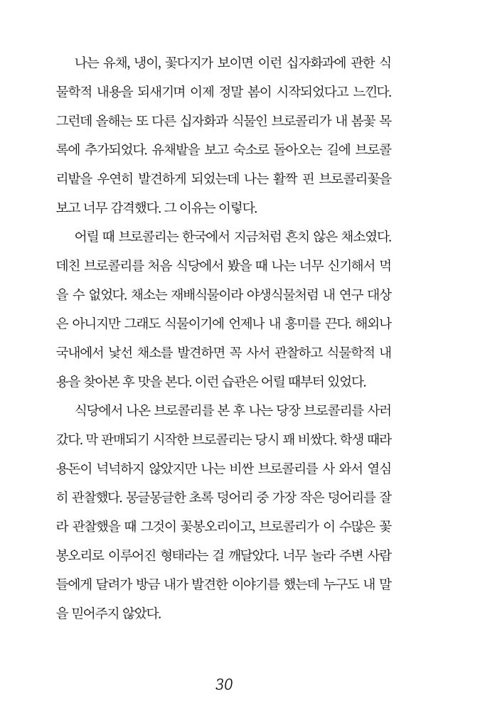 31페이지