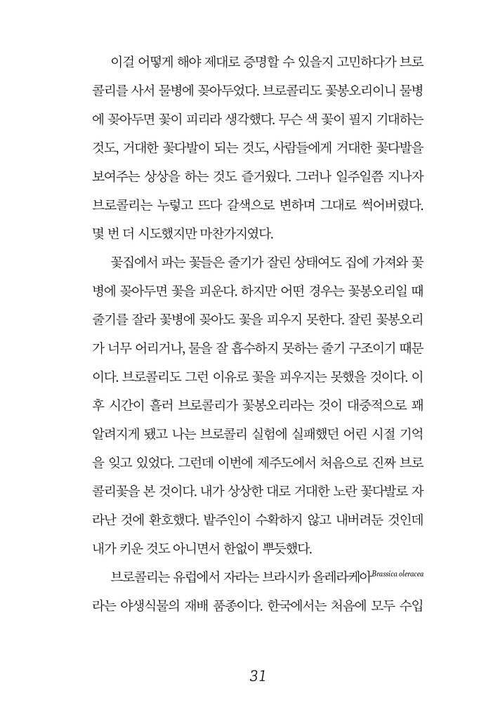 32페이지