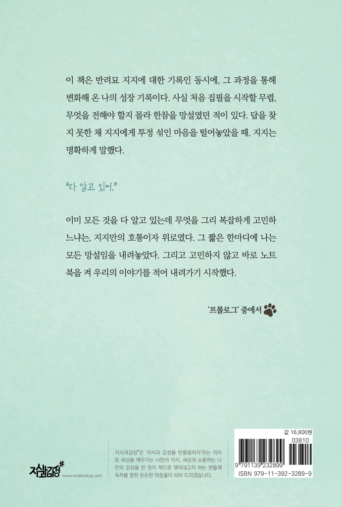 29페이지