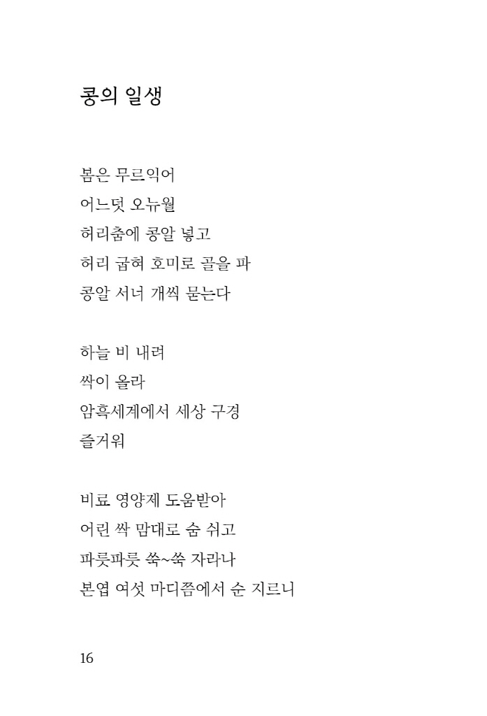 17페이지