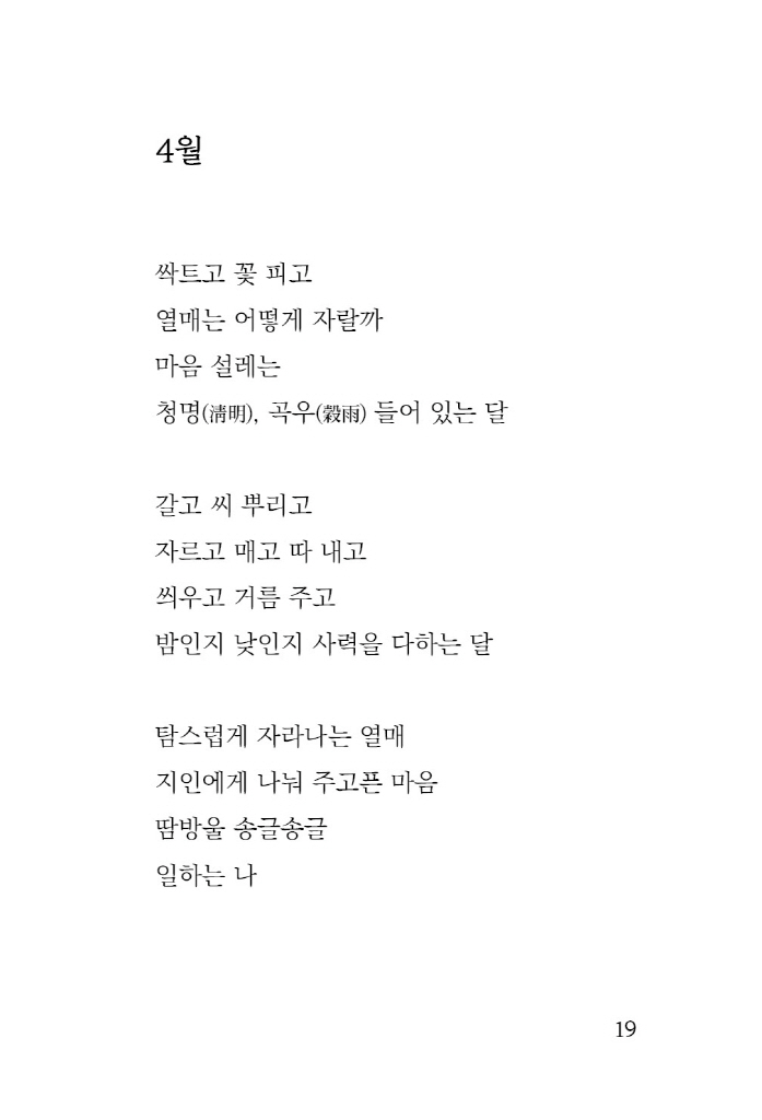 20페이지