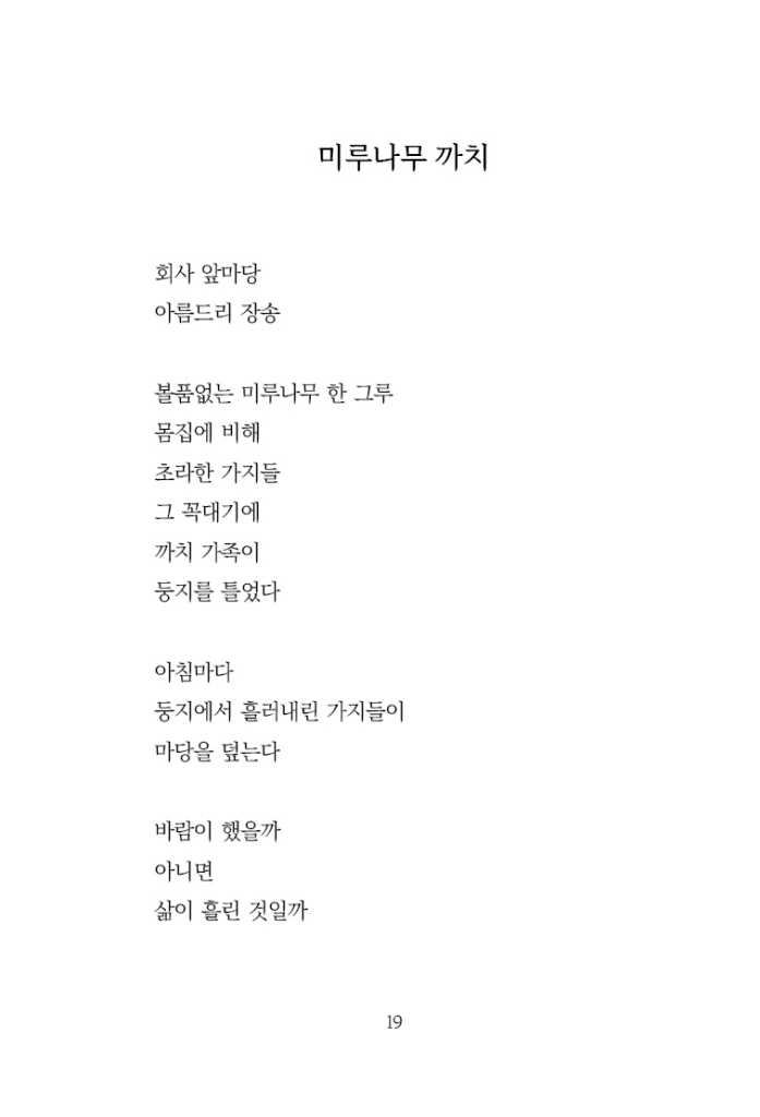 20페이지