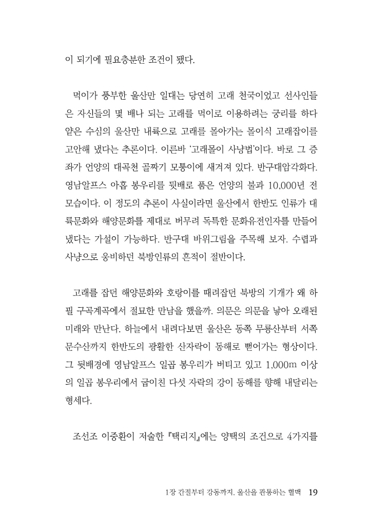 20페이지