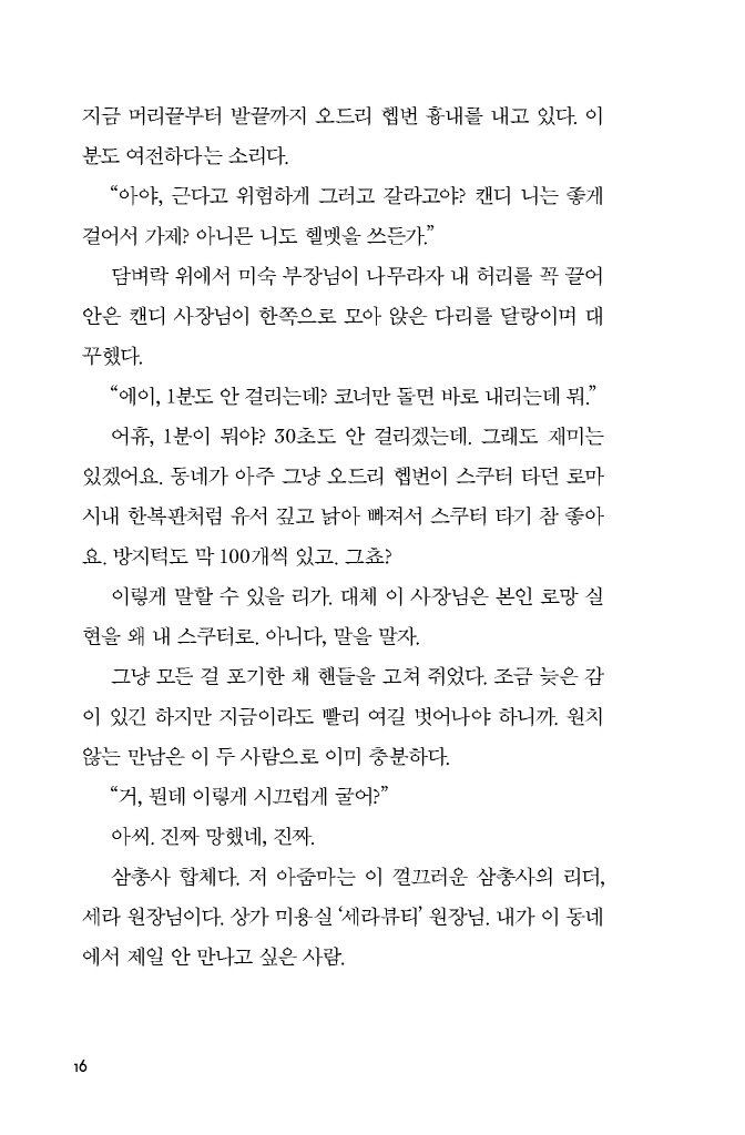 17페이지