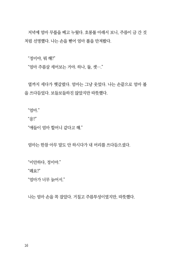 17페이지
