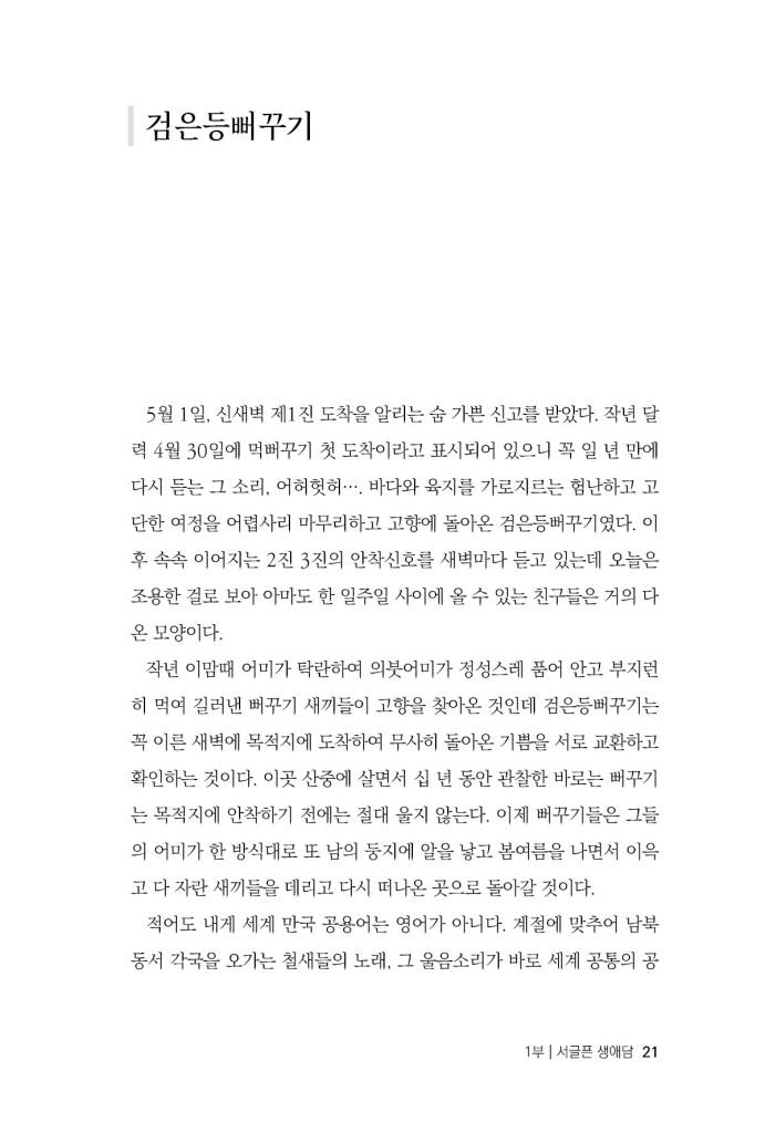 20페이지