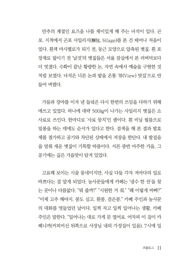12페이지