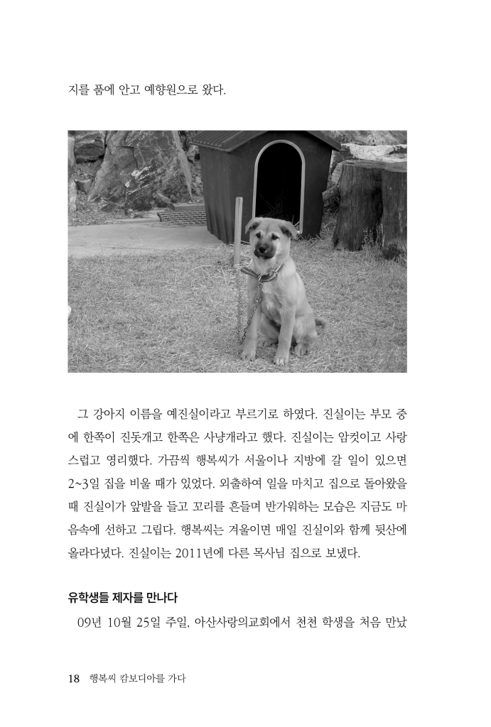 19페이지