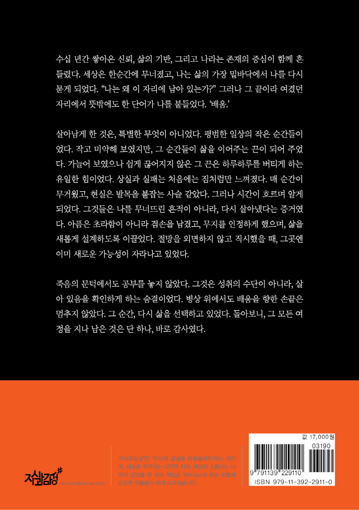 31페이지