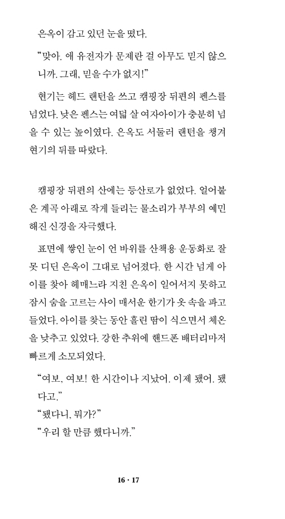 17페이지