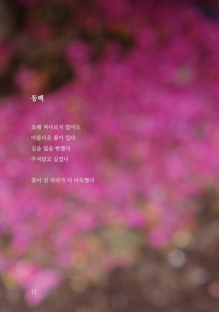 11페이지