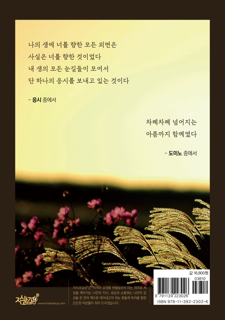 29페이지