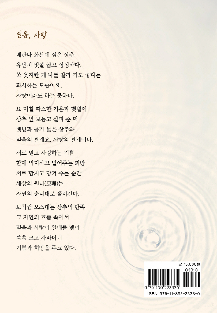 29페이지