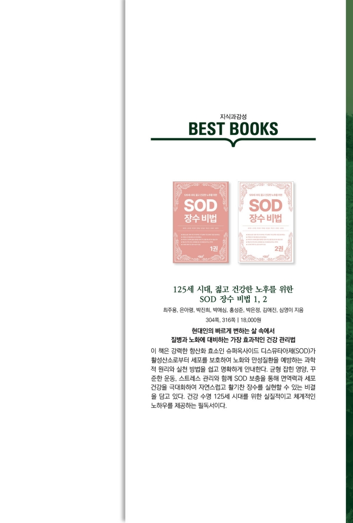 28페이지