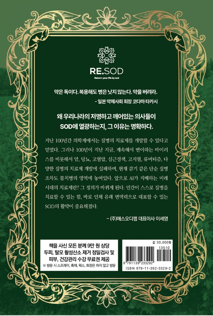 29페이지