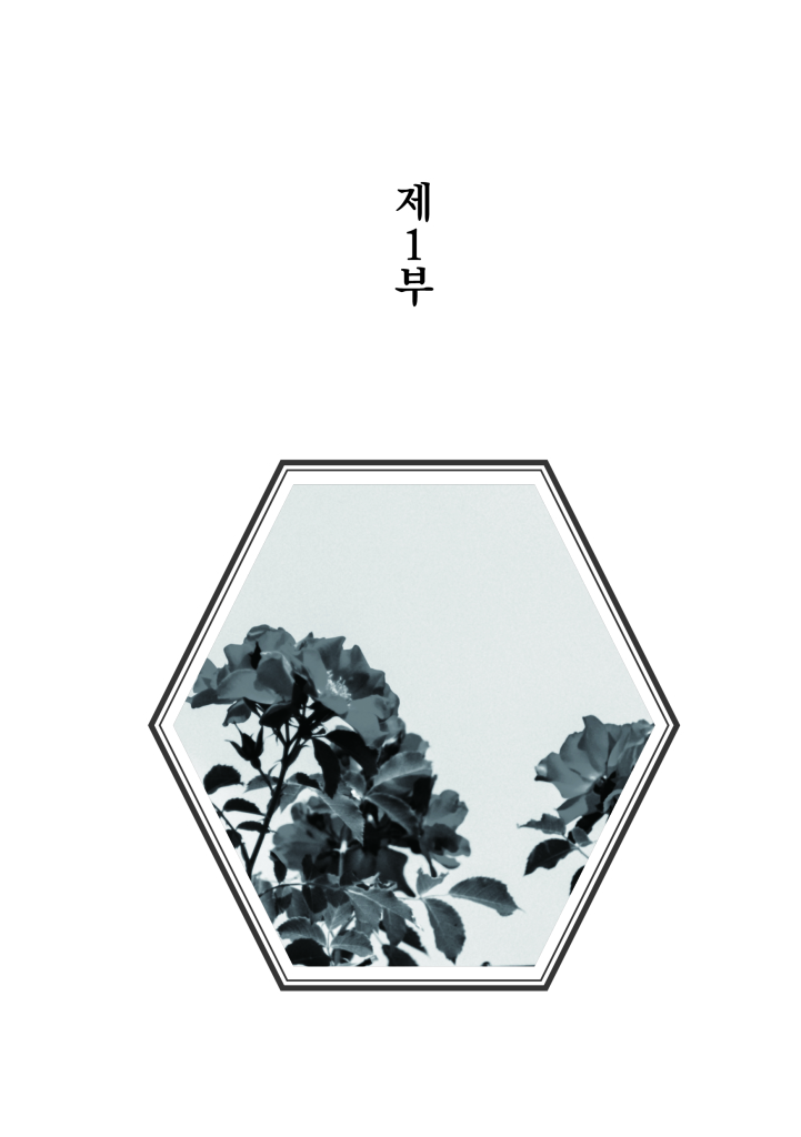 14페이지