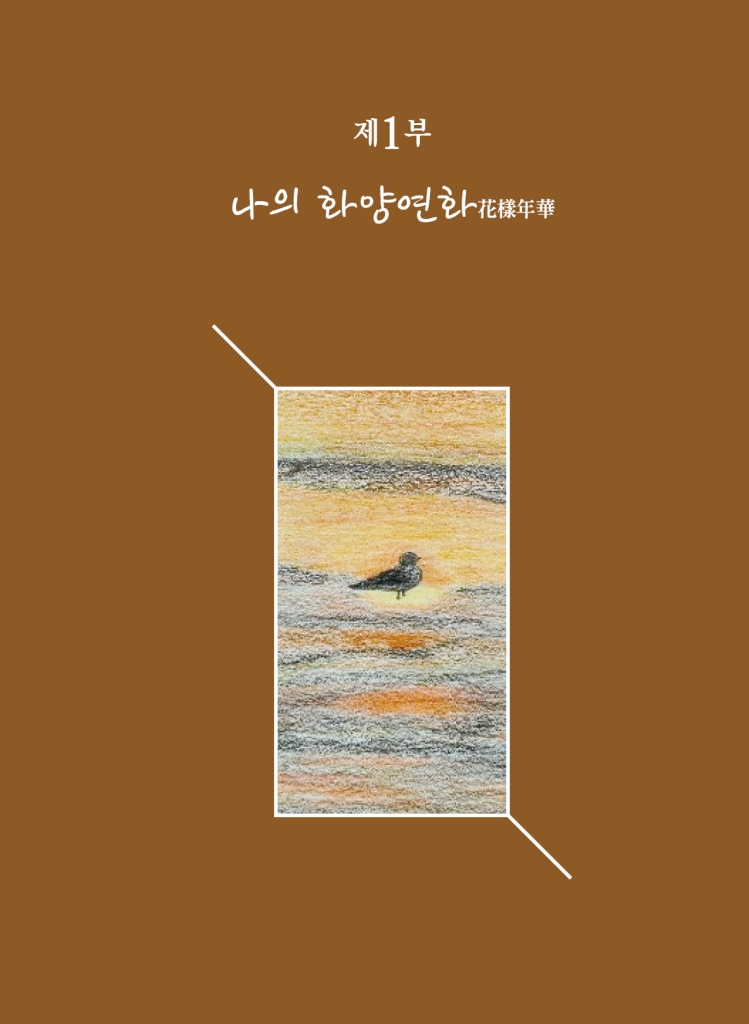 14페이지