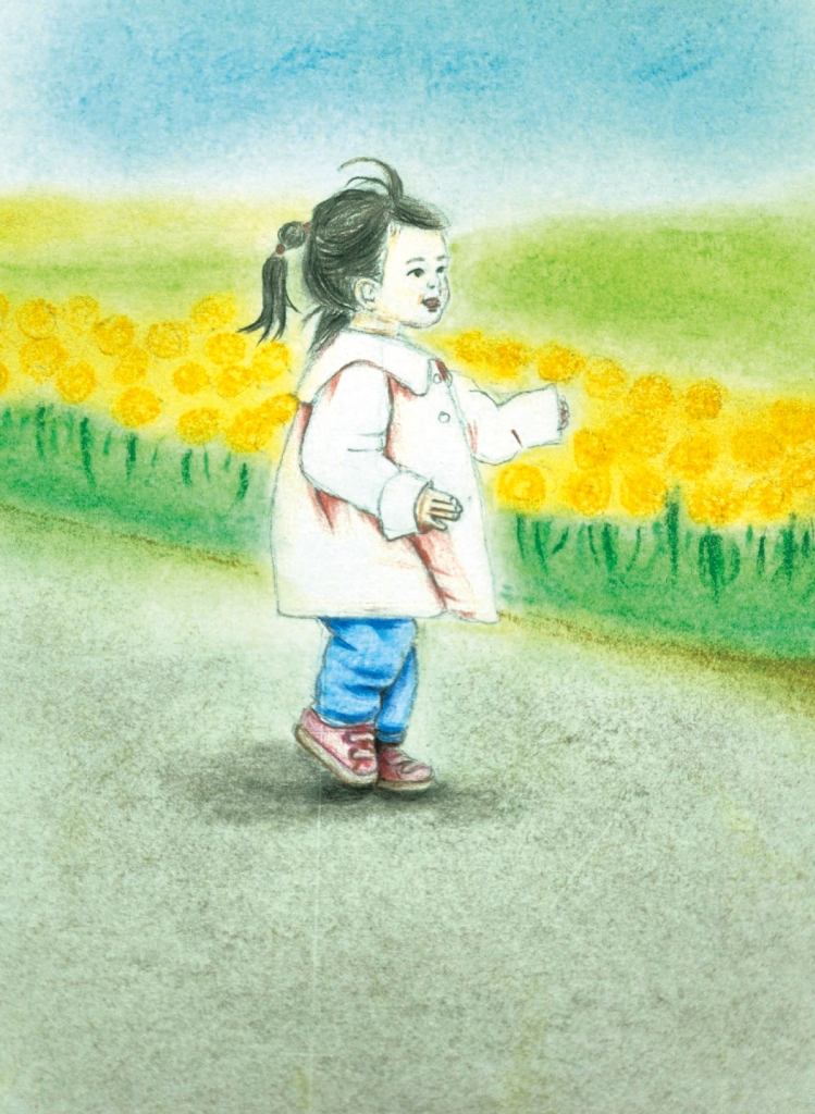 20페이지