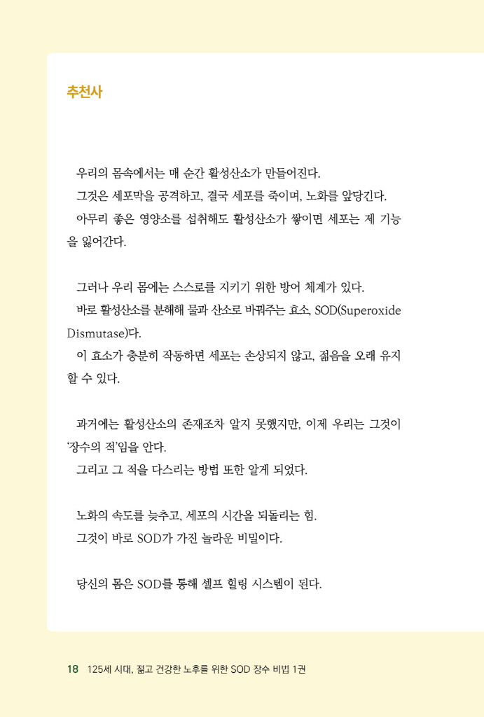19페이지