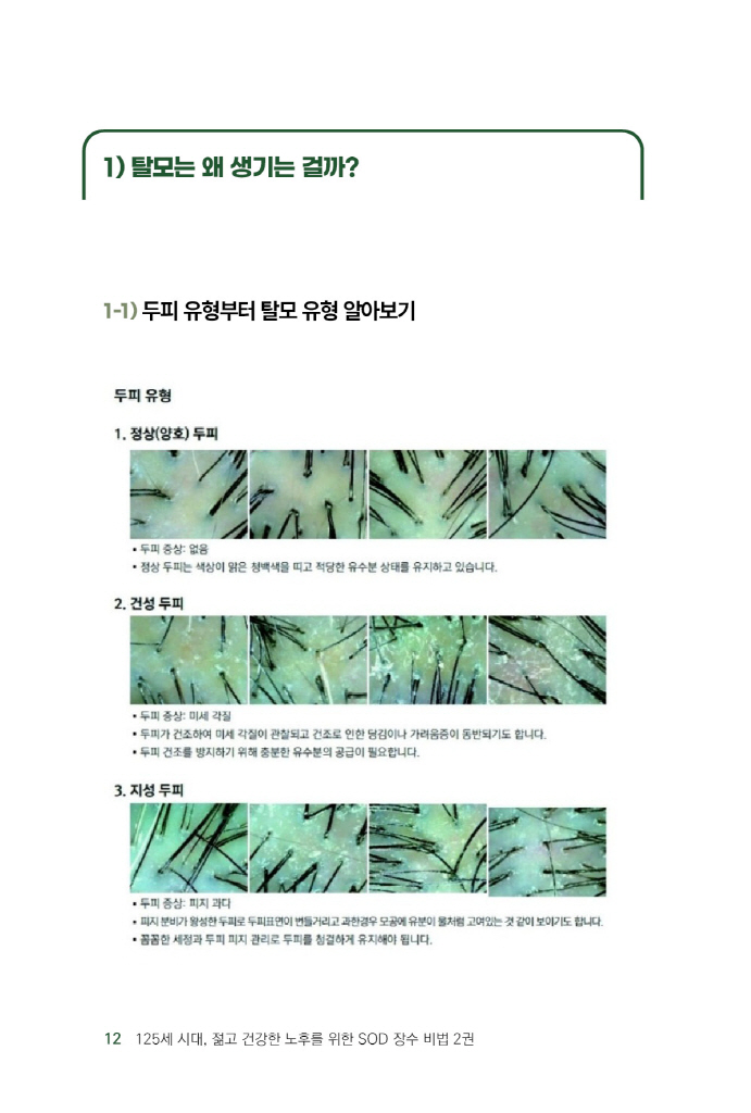 13페이지
