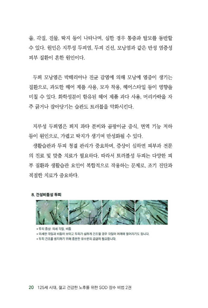 21페이지