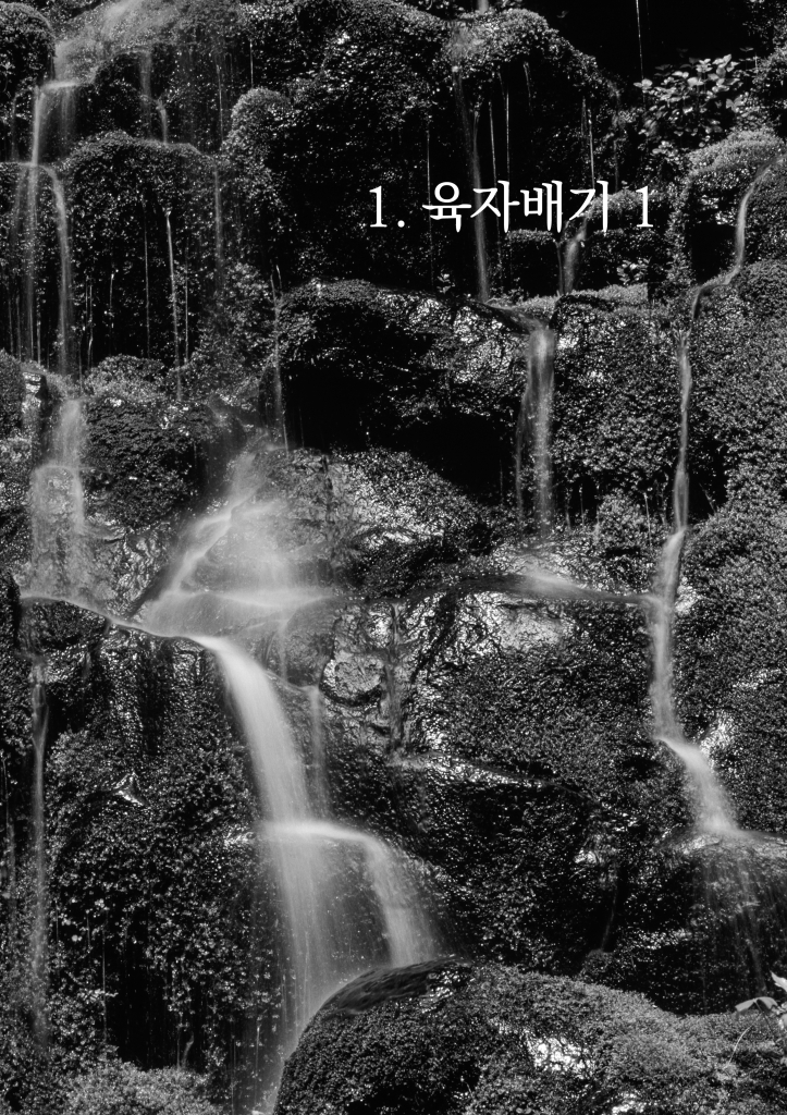 14페이지