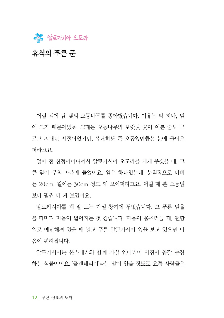 13페이지