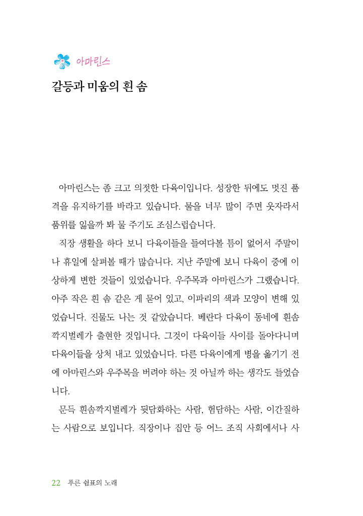 23페이지