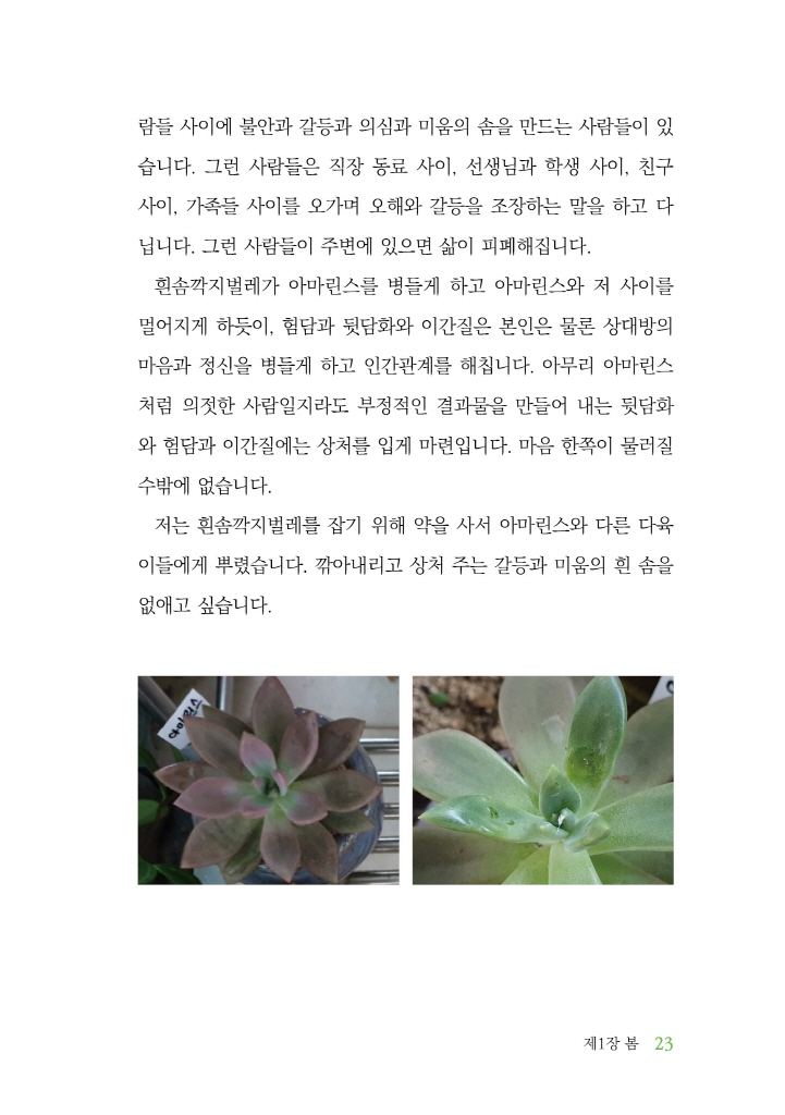 24페이지