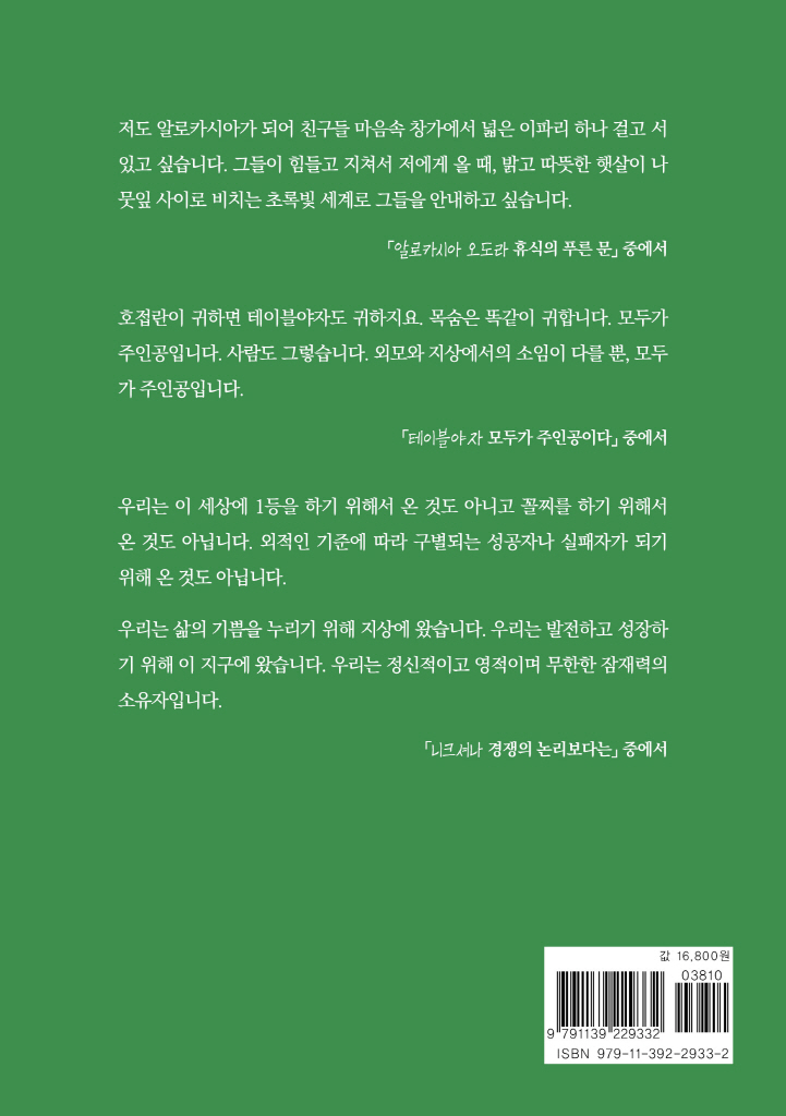 29페이지