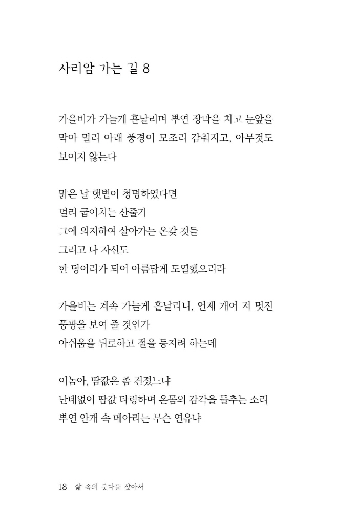 19페이지