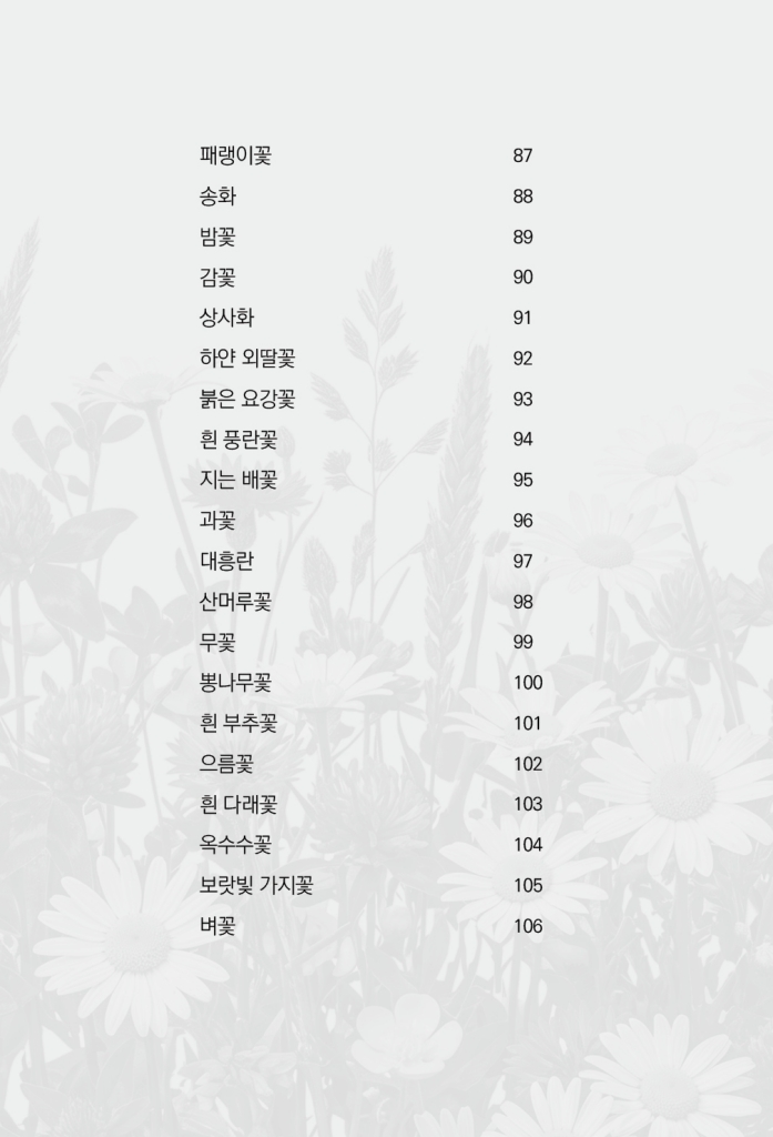 11페이지