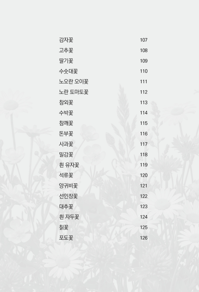 12페이지