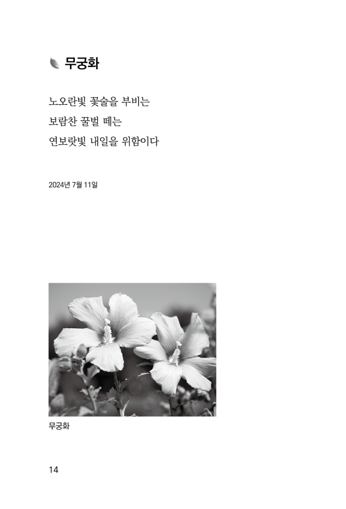 15페이지