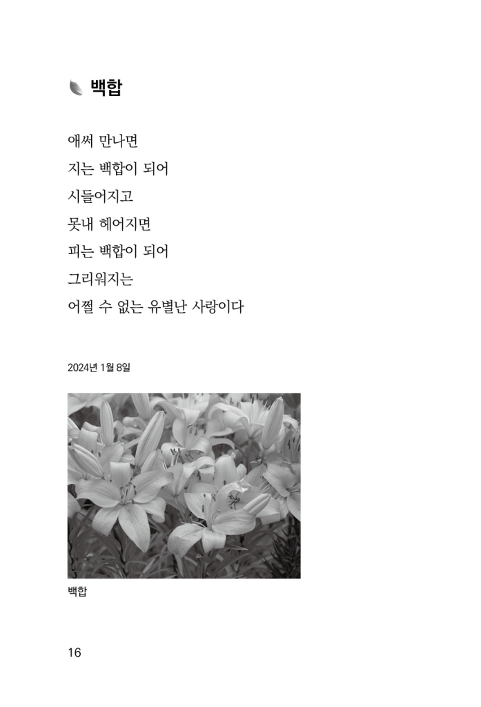 17페이지