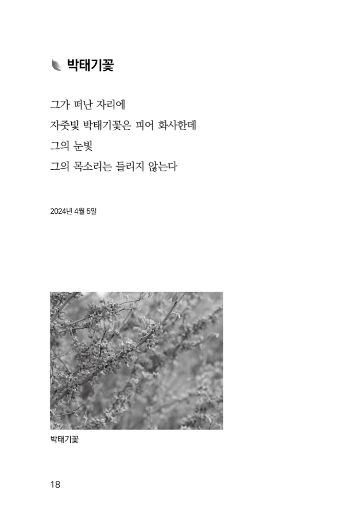 19페이지