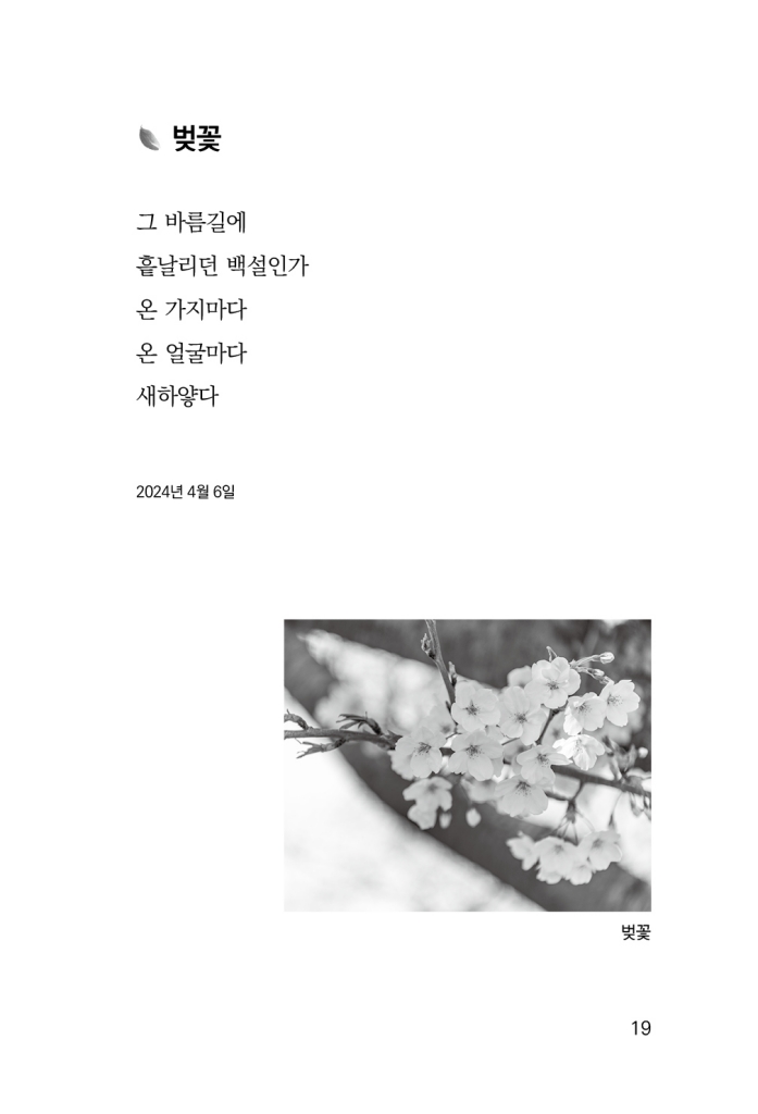 20페이지