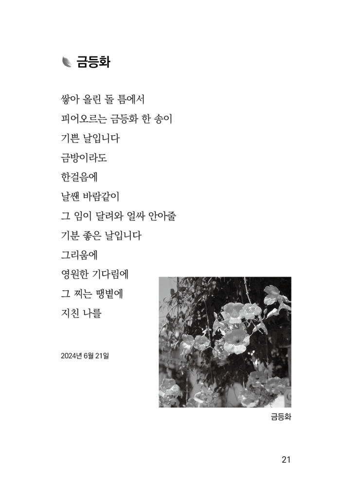 22페이지