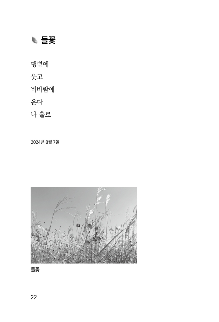 23페이지