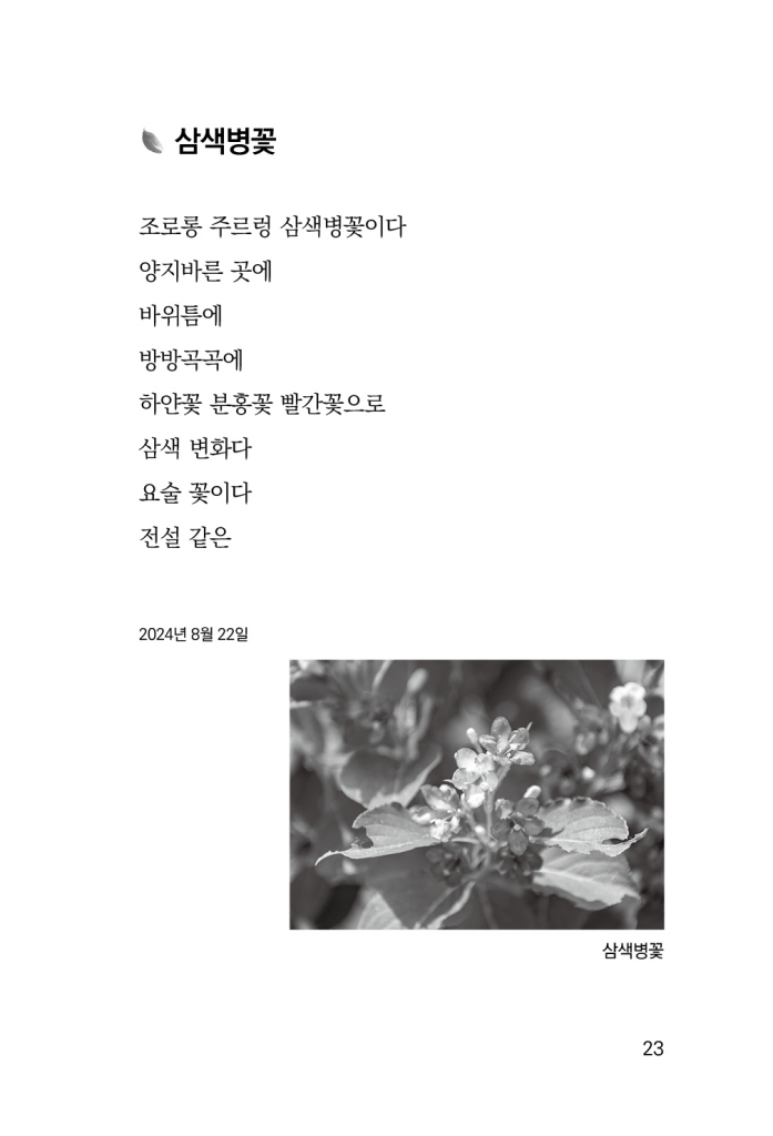 24페이지