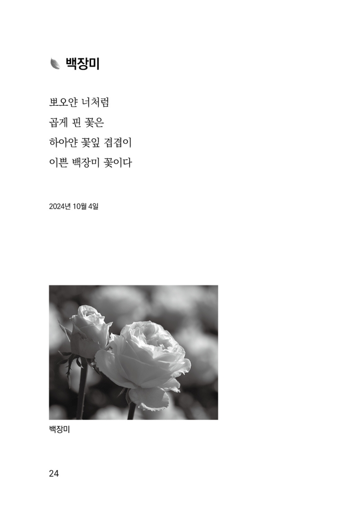 25페이지