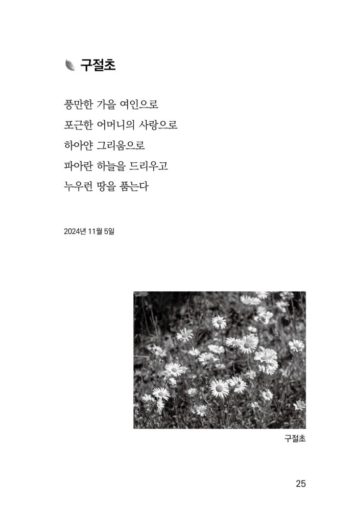 26페이지