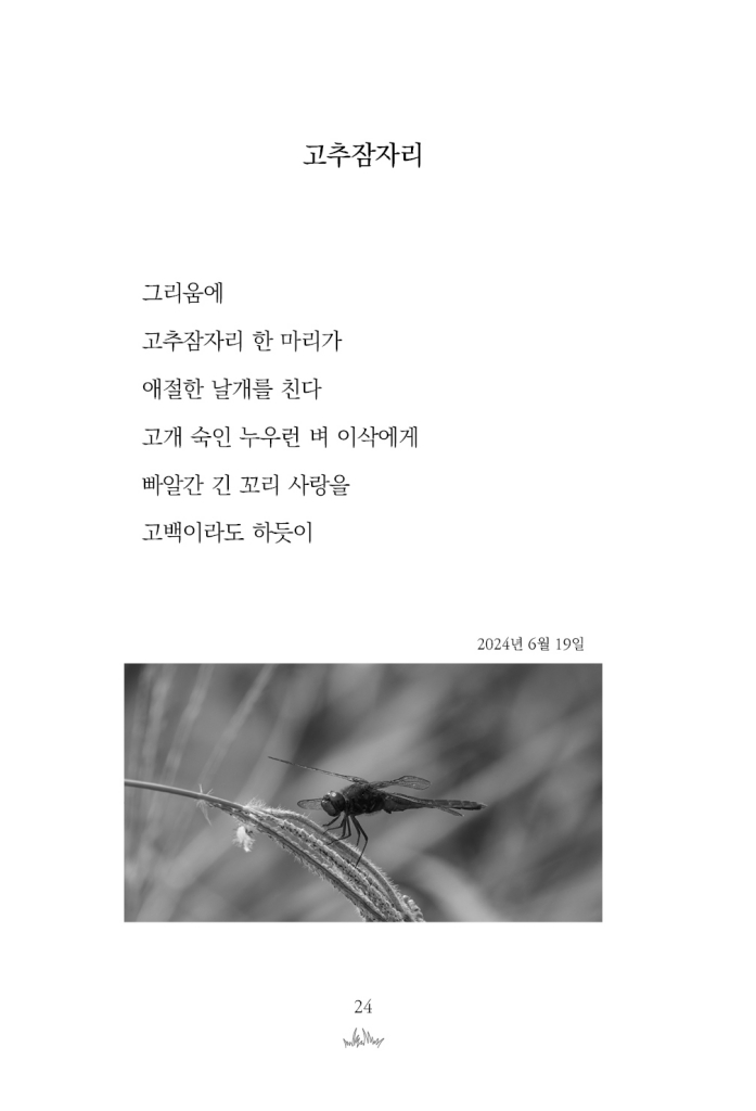 25페이지