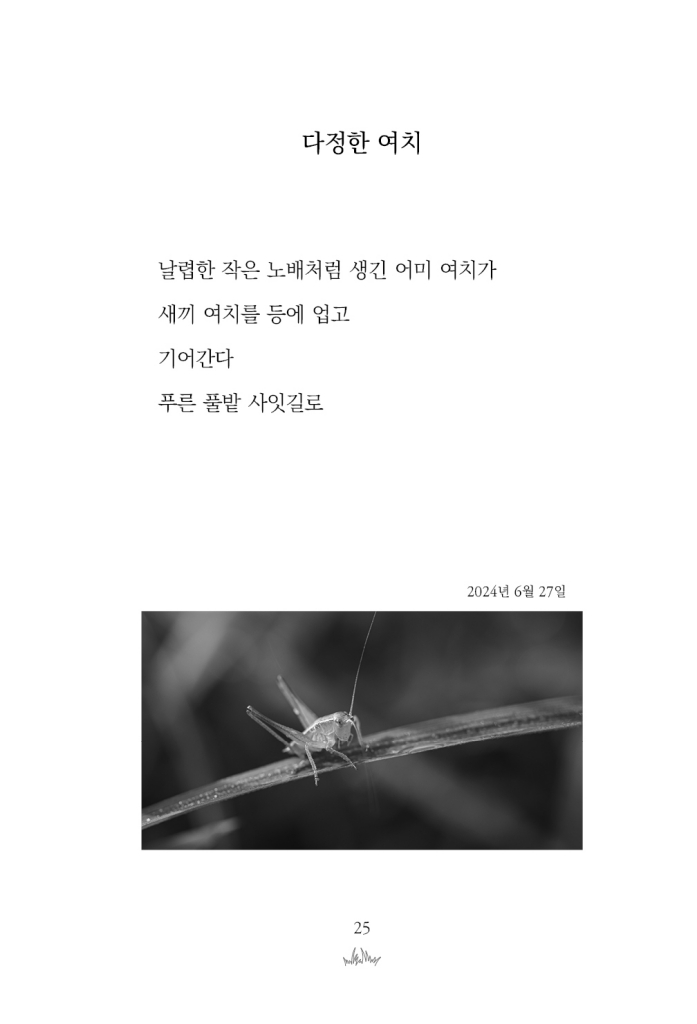 26페이지