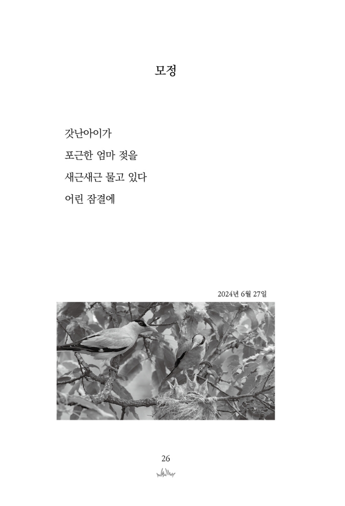27페이지