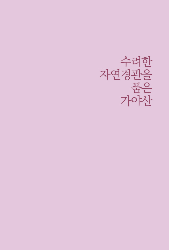 12페이지